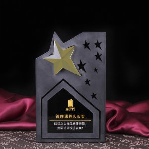 水晶獎(jiǎng)牌