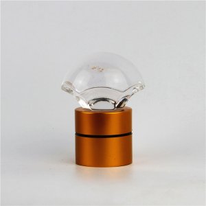 dxg009